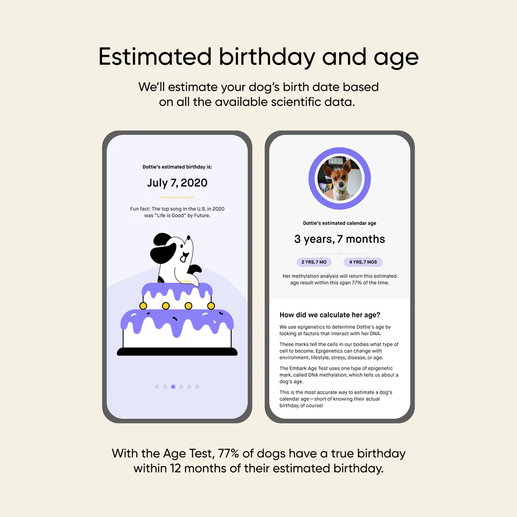 Dog Age Test