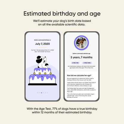 Dog Age Test