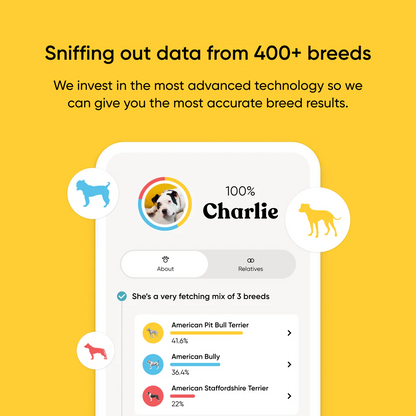 Embark Dog DNA Test
